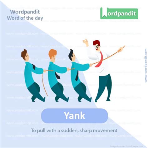 yank synonym|yank meaning.